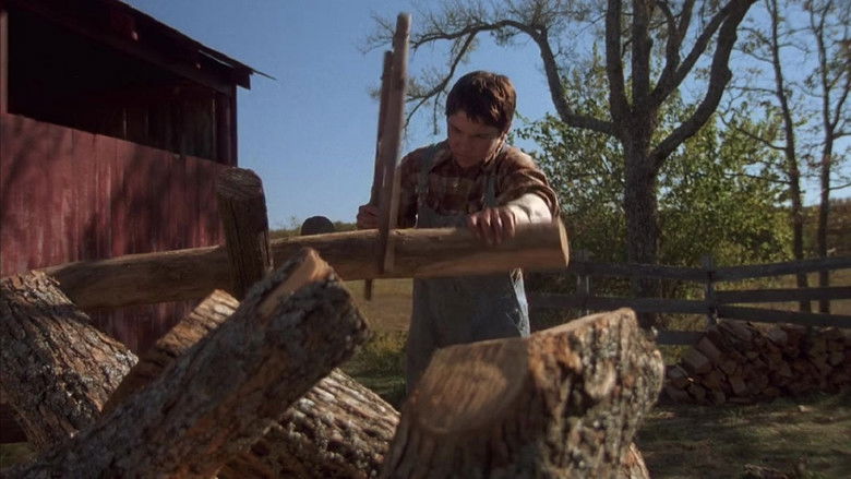 кадр из фильма Цветок красного папоротника