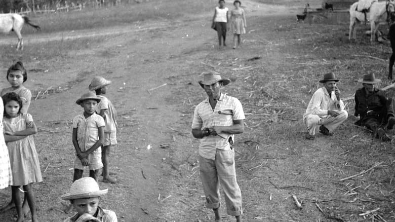 кадр из фильма Maioria absoluta