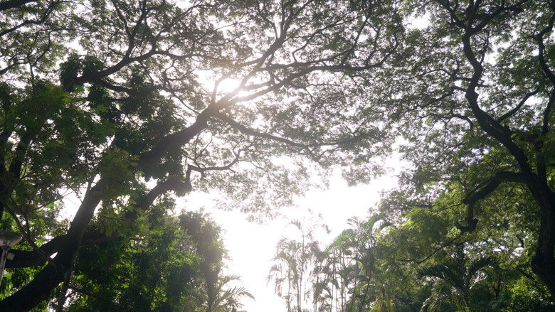 кадр из фильма Loving Compliment