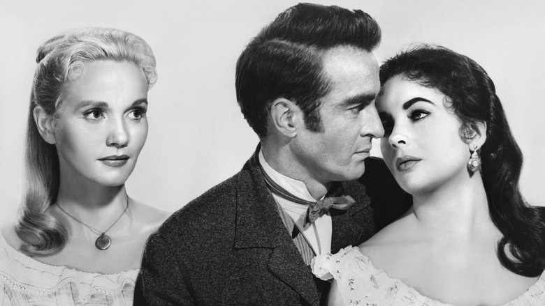 Округ Рэйнтри