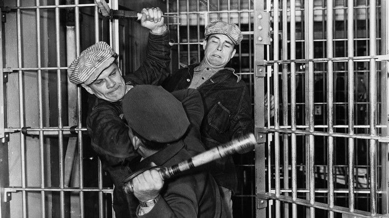 кадр из фильма Canon City