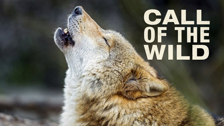 кадр из фильма The Call of the Wild