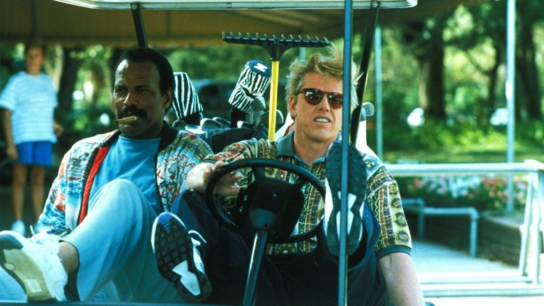 Ночной гость