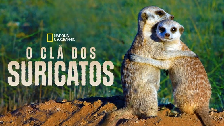 кадр из фильма Clan of the Meerkat