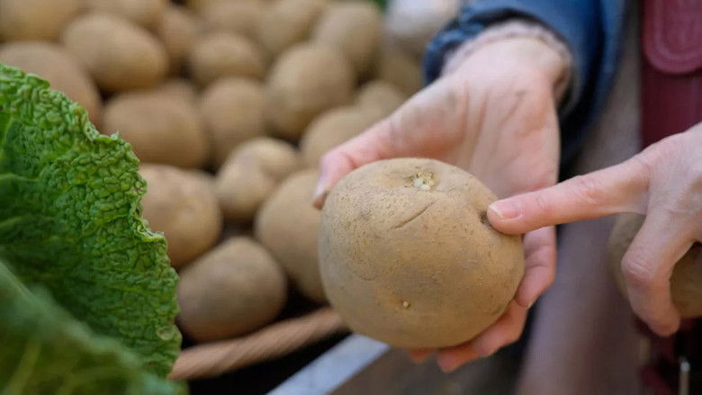 Chaud patate ! La pomme de terre en danger