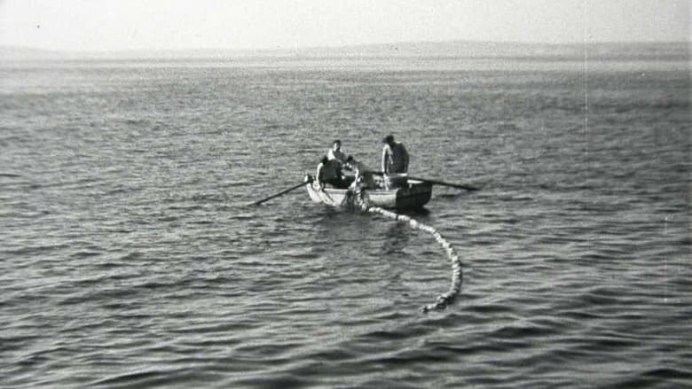 кадр из фильма La Bretagne