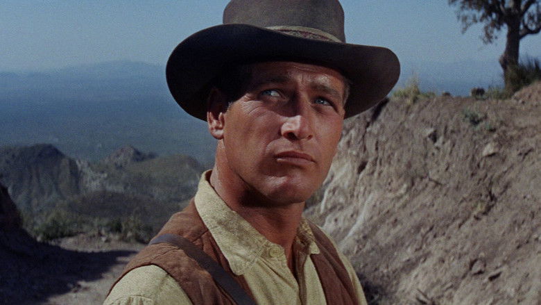 кадр из фильма Омбре: Отважный стрелок