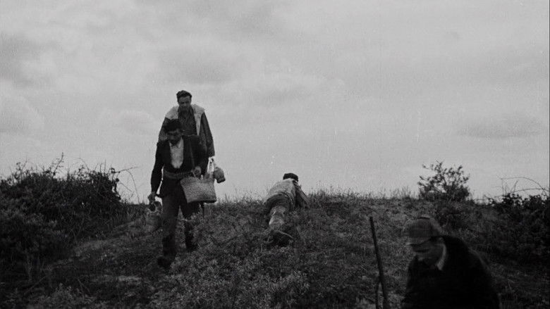 кадр из фильма Земляк