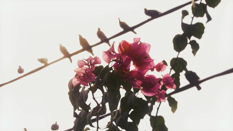 кадр из фильма Out of Time