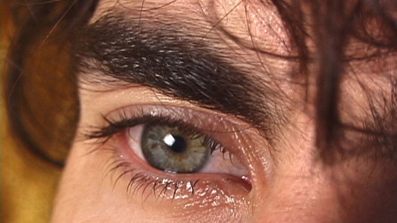 кадр из фильма Historia Calamitatum (The Story of My Misfortunes), Part II: The Crying Game