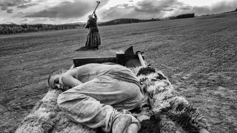 кадр из фильма Раскрашенная птица