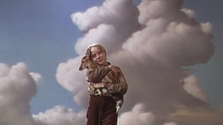 кадр из фильма Оленёнок