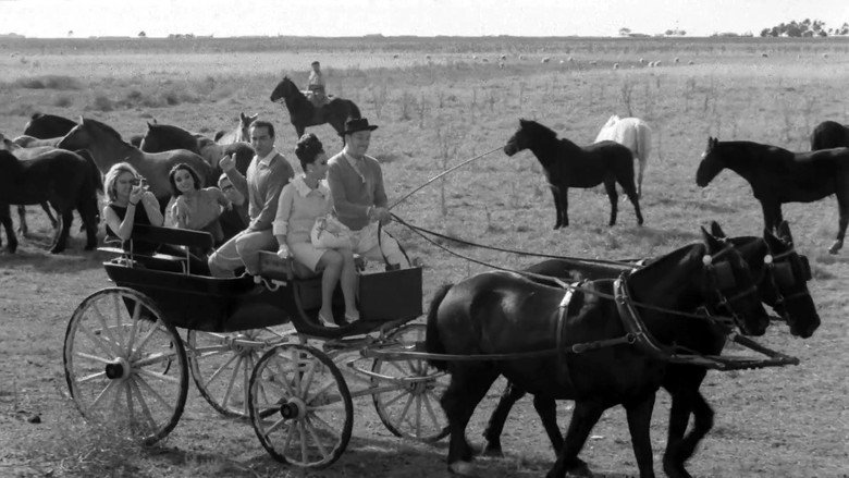 кадр из фильма Il gaucho