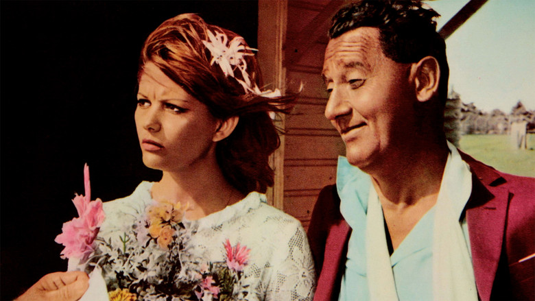 кадр из фильма Красивый, честный эмигрант в Австралии хотел бы жениться на девушке-соотечественнице