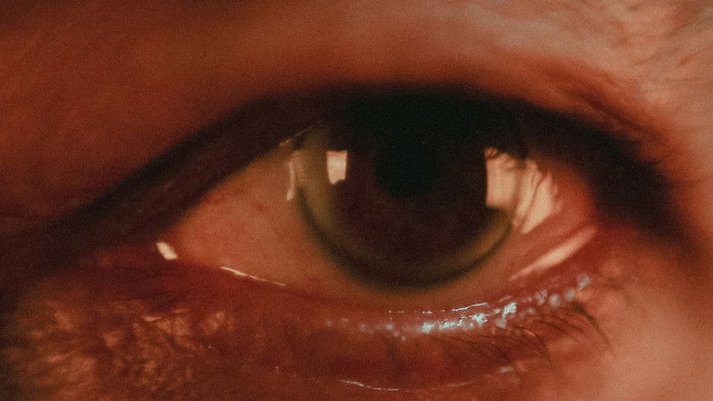 кадр из фильма O Cinema Que Não Se Vê