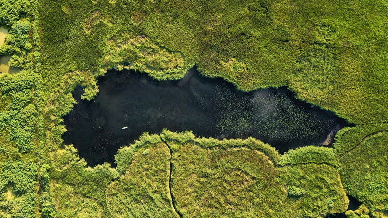 кадр из фильма Jóreménység-sziget