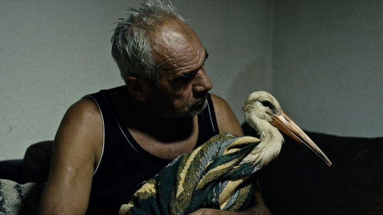 кадр из фильма Приказната за Силјан