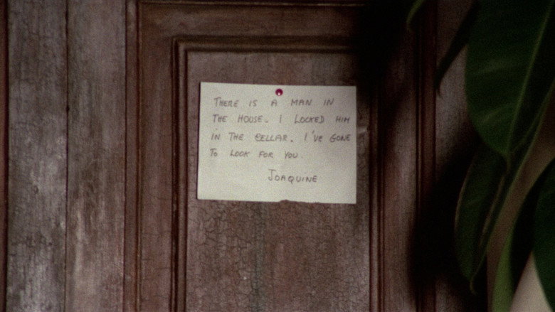 кадр из фильма Delirio caldo