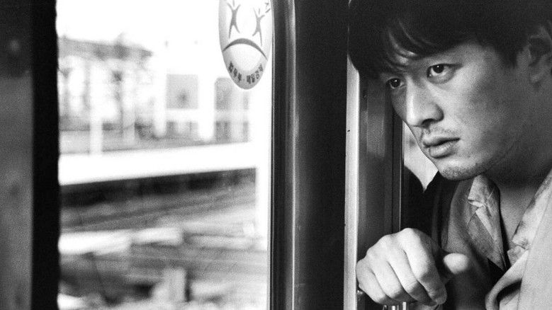 кадр из фильма 로드 무비