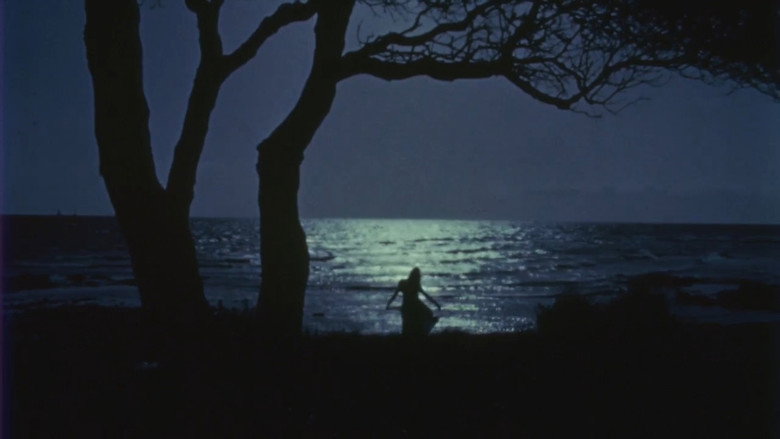 кадр из фильма A Far Off World