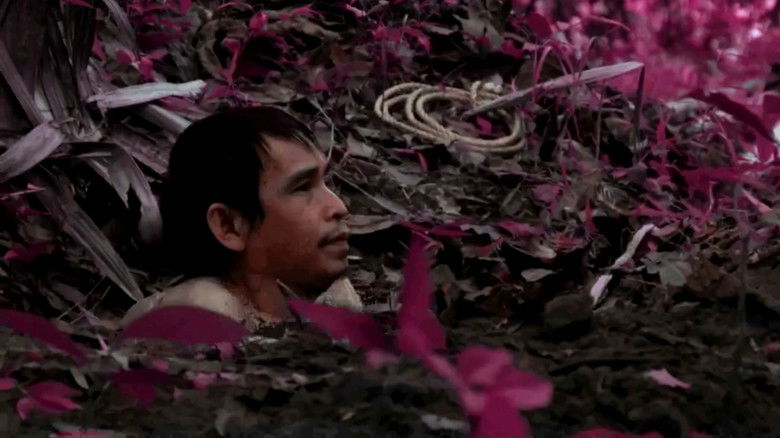 кадр из фильма Desaparadiso