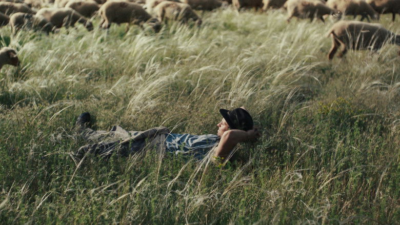 кадр из фильма Пастухи