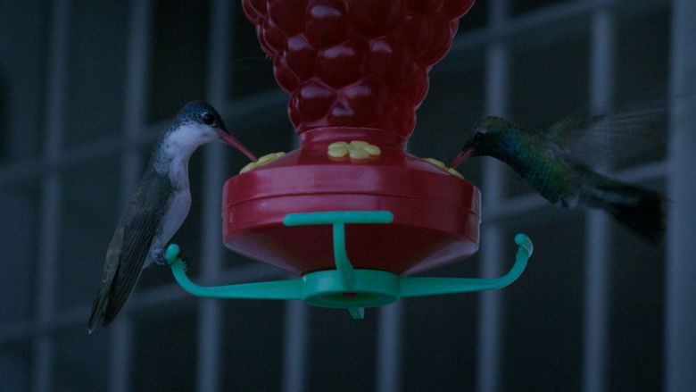 кадр из фильма En algún lugar dentro de mí