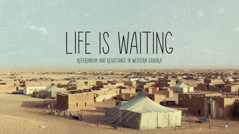 кадр из фильма Life is waiting: referendum and resistance in Western Sahara
