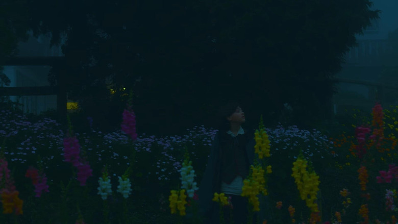 кадр из фильма O Bosque dos Sonâmbulos