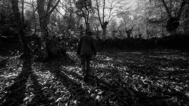 кадр из фильма Rehilete