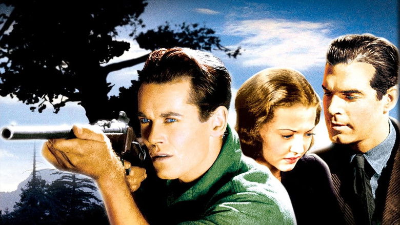 кадр из фильма Тропинка одинокой сосны