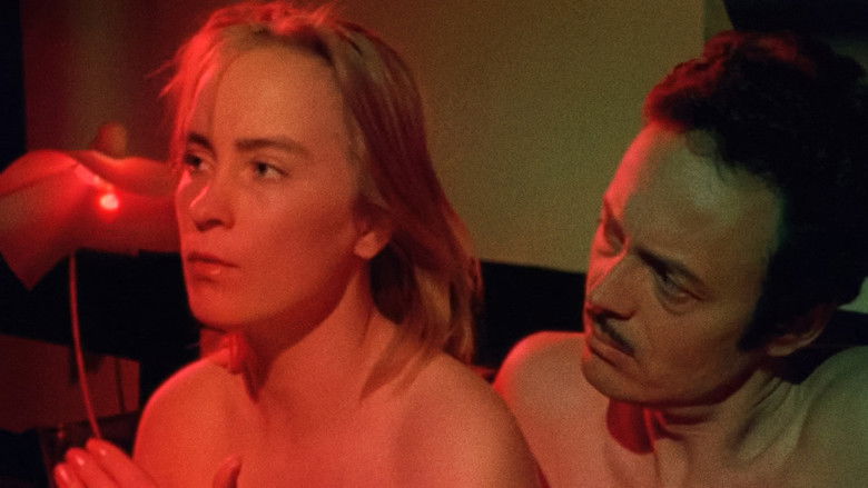 кадр из фильма Зверь из космоса