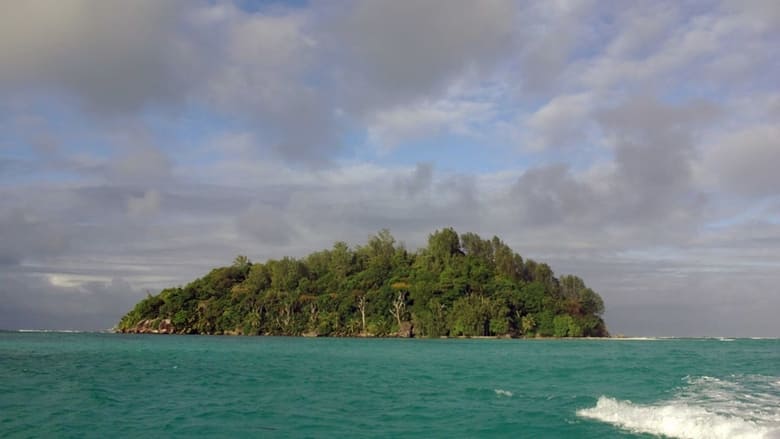 кадр из фильма A Grain of Sand