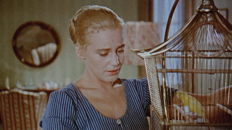 кадр из фильма Роза Бернд