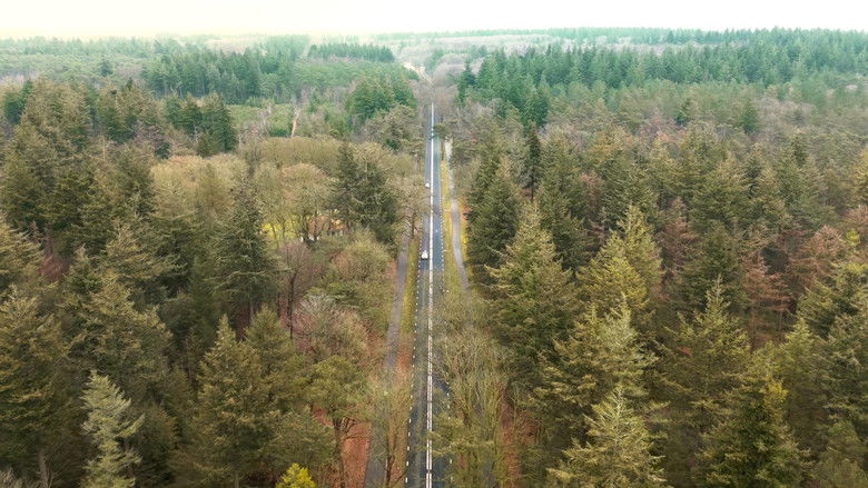 кадр из фильма Geruisloos