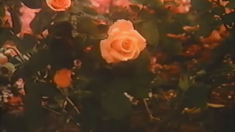 кадр из фильма Rose Petal Place