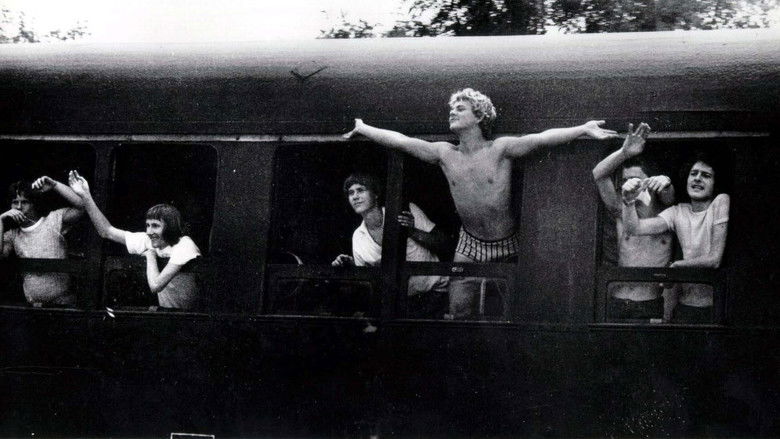 кадр из фильма A Sípoló Macskakő