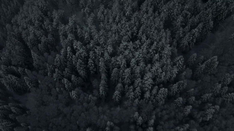 кадр из фильма Время монстров