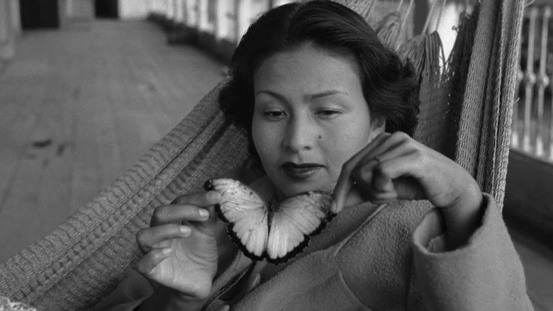 кадр из фильма El secreto de la luz