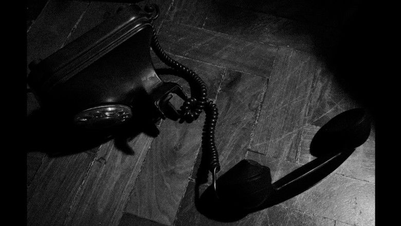 кадр из фильма O Jardim