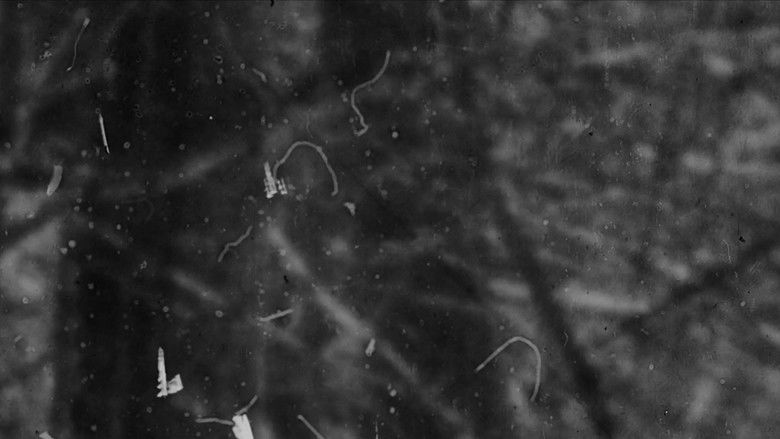 кадр из фильма 정거장