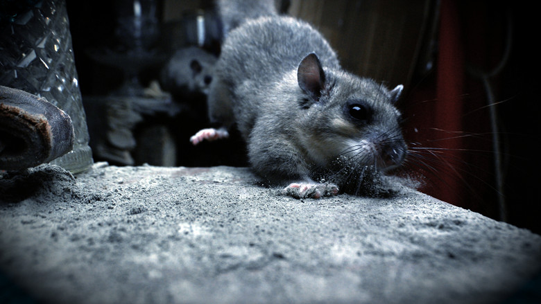 кадр из фильма Wild Tales From The Village