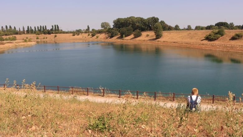 кадр из фильма Il colore rosa