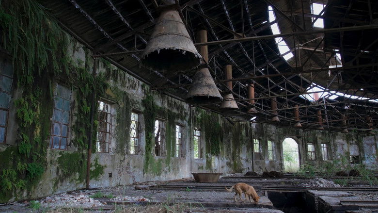 кадр из фильма Desentierros. Los libros que no heredamos