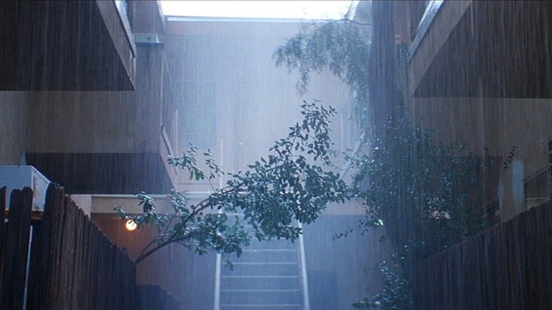 кадр из фильма Магнолия