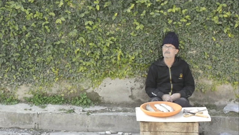 кадр из фильма ماهی گریه می کند