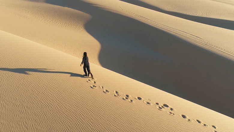 кадр из фильма Beachworld