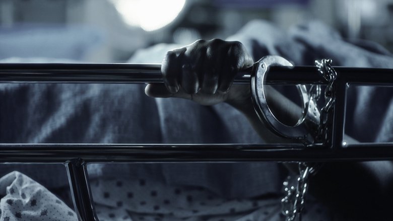 кадр из фильма Belly of the Beast