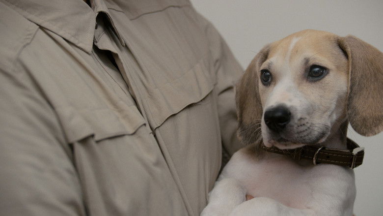 кадр из фильма Как воспитать мужа