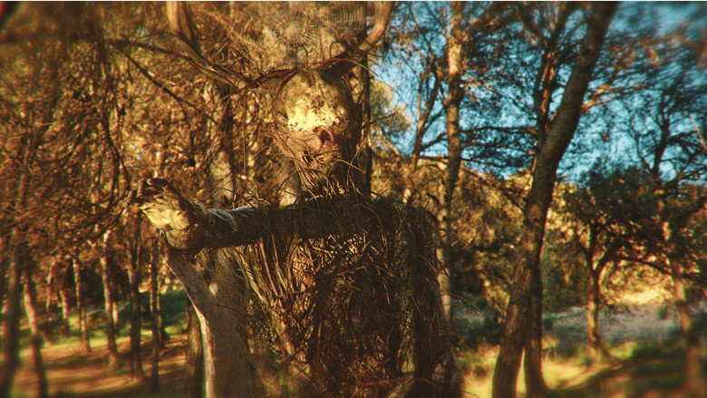 кадр из фильма La Bestia en el Bosque